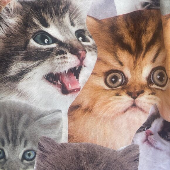 Bioworld Cat Print Swim Shorts Mens Medium Built in Brief AOP Lace Up Beach - Picture 4 of 12